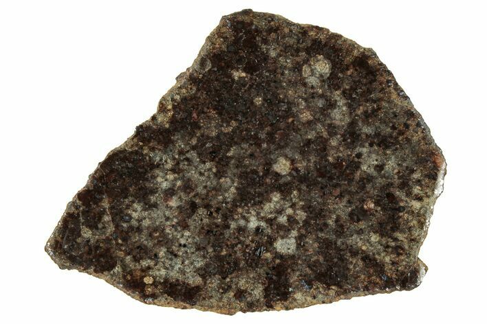 Polished Gold Basin Chondrite Meteorite Slice ( g) - Arizona #329358